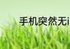 手机突然无ip分配是什么意思