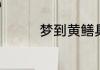 梦到黄鳝具体是什么意思