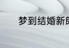 梦到结婚新郎跑了是什么意思