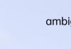 ambiguous造句