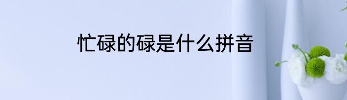 忙碌的碌是什么拼音