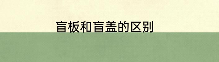盲板和盲盖的区别