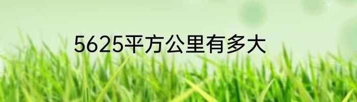 5625平方公里有多大