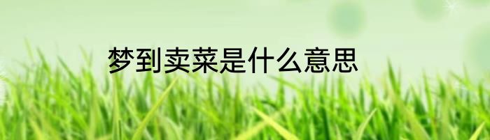 梦到卖菜是什么意思