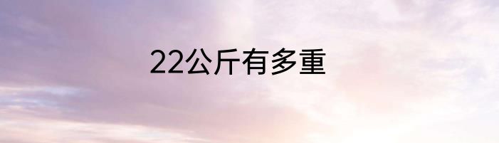 22公斤有多重