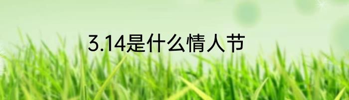 3.14是什么情人节