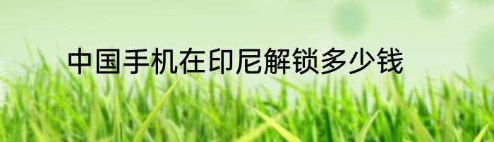 中国手机在印尼解锁多少钱