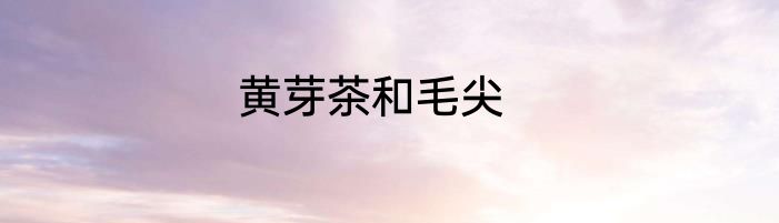 黄芽茶和毛尖