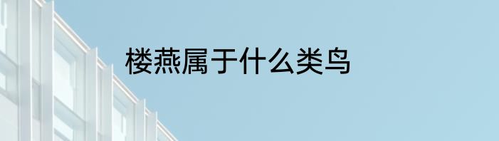 楼燕属于什么类鸟