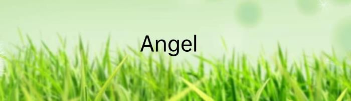 Angel