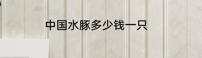 中国水豚多少钱一只