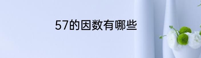 57的因数有哪些