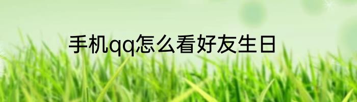 手机qq怎么看好友生日