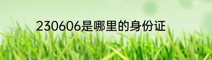 230606是哪里的身份证