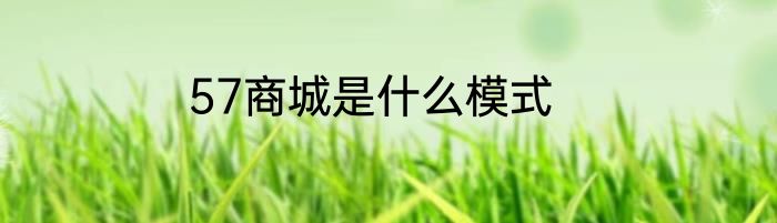 57商城是什么模式