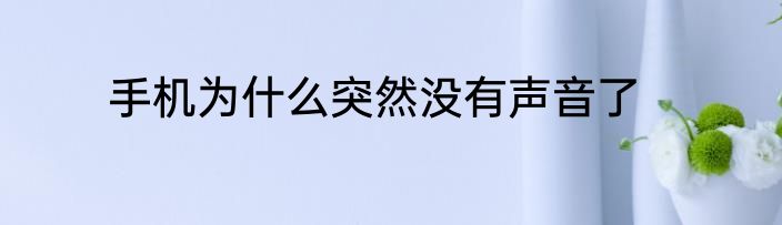 手机为什么突然没有声音了