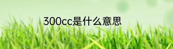 300cc是什么意思
