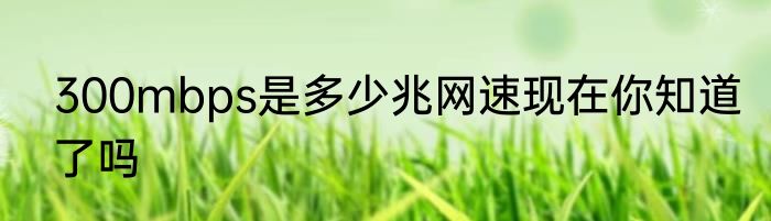300mbps是多少兆网速现在你知道了吗
