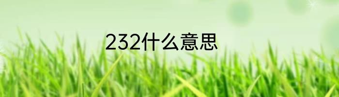 232什么意思
