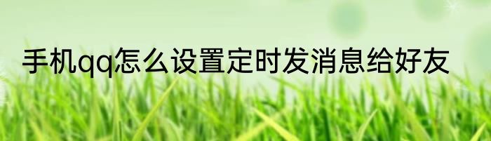 手机qq怎么设置定时发消息给好友