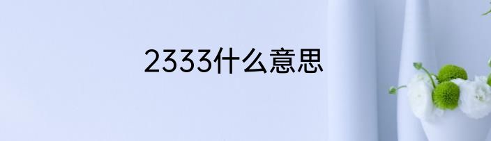 2333什么意思
