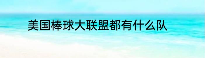 美国棒球大联盟都有什么队