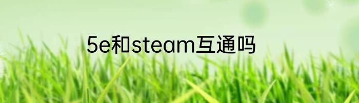 5e和steam互通吗