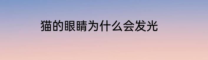 猫的眼睛为什么会发光