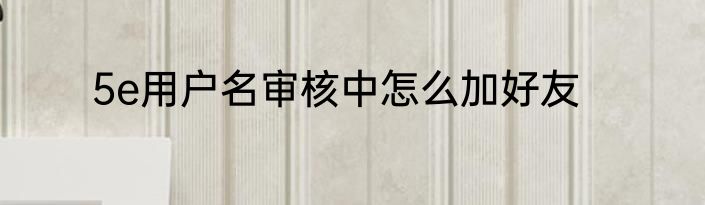 5e用户名审核中怎么加好友