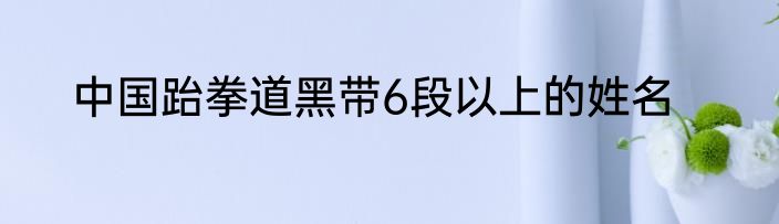 中国跆拳道黑带6段以上的姓名