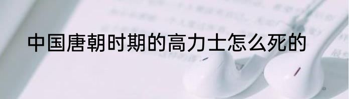 中国唐朝时期的高力士怎么死的