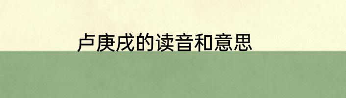 卢庚戌的读音和意思