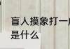 盲人摸象打一成语盲人摸象打一成语是什么