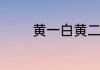 黄一白黄二白皮肤怎么区分