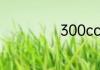 300cc是什么意思