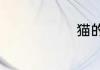 猫的生活习性