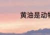 黄油是动物油还是植物油
