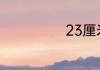 23厘米是多少码