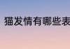 猫发情有哪些表现猫发情的几种表现
