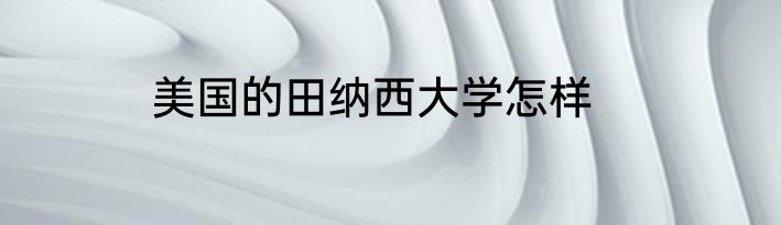 美国的田纳西大学怎样