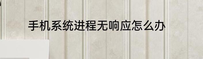 手机系统进程无响应怎么办