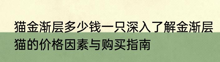 猫金渐层多少钱一只深入了解金渐层猫的价格因素与购买指南