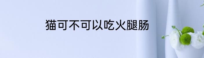 猫可不可以吃火腿肠