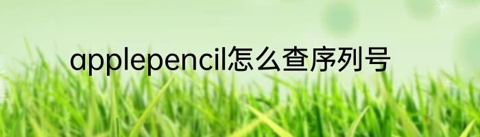 applepencil怎么查序列号