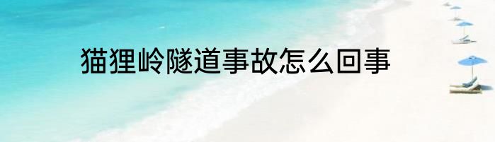 猫狸岭隧道事故怎么回事