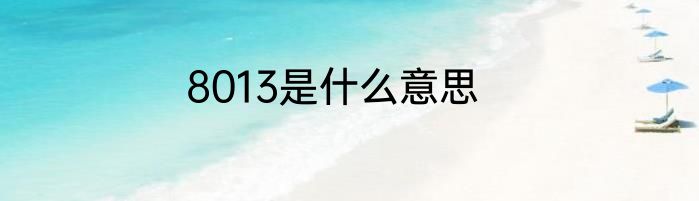 8013是什么意思