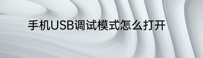 手机USB调试模式怎么打开