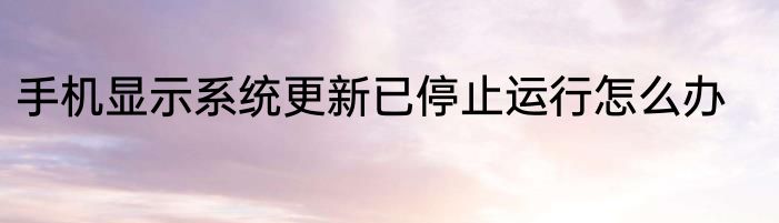 手机显示系统更新已停止运行怎么办