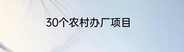 30个农村办厂项目