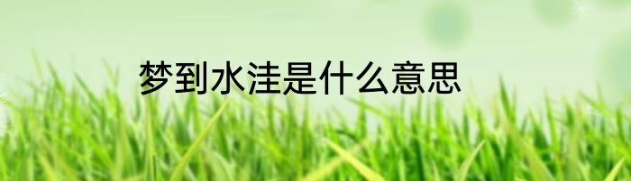 梦到水洼是什么意思